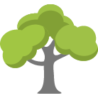 Boulder Tree Removal Service